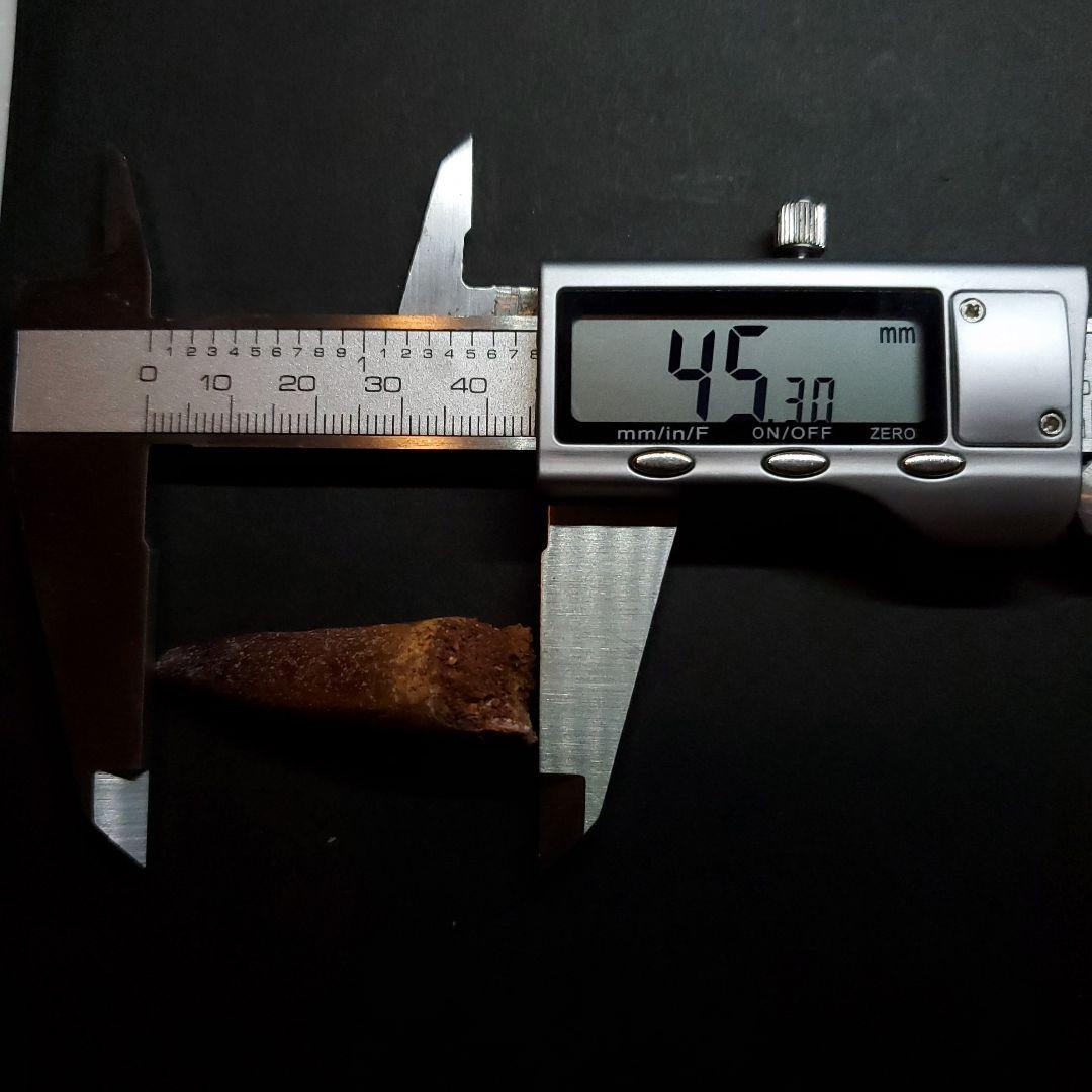 極上 スピノサウルス 本物 モロッコ産 45.30mm ケース付き sp376