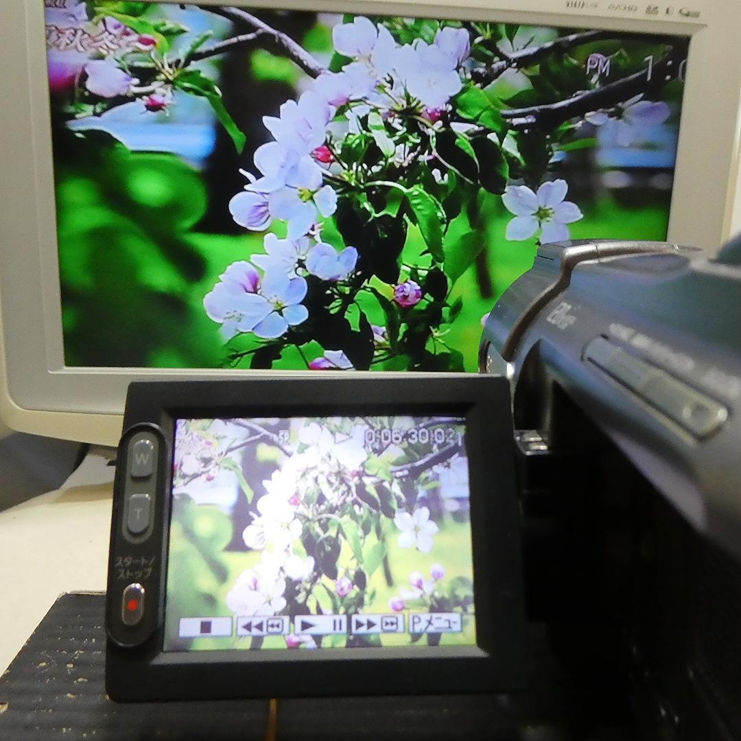 動作品 ソニーDCR-HC88 MiniDV ビデオカメラDVDダビングに最適