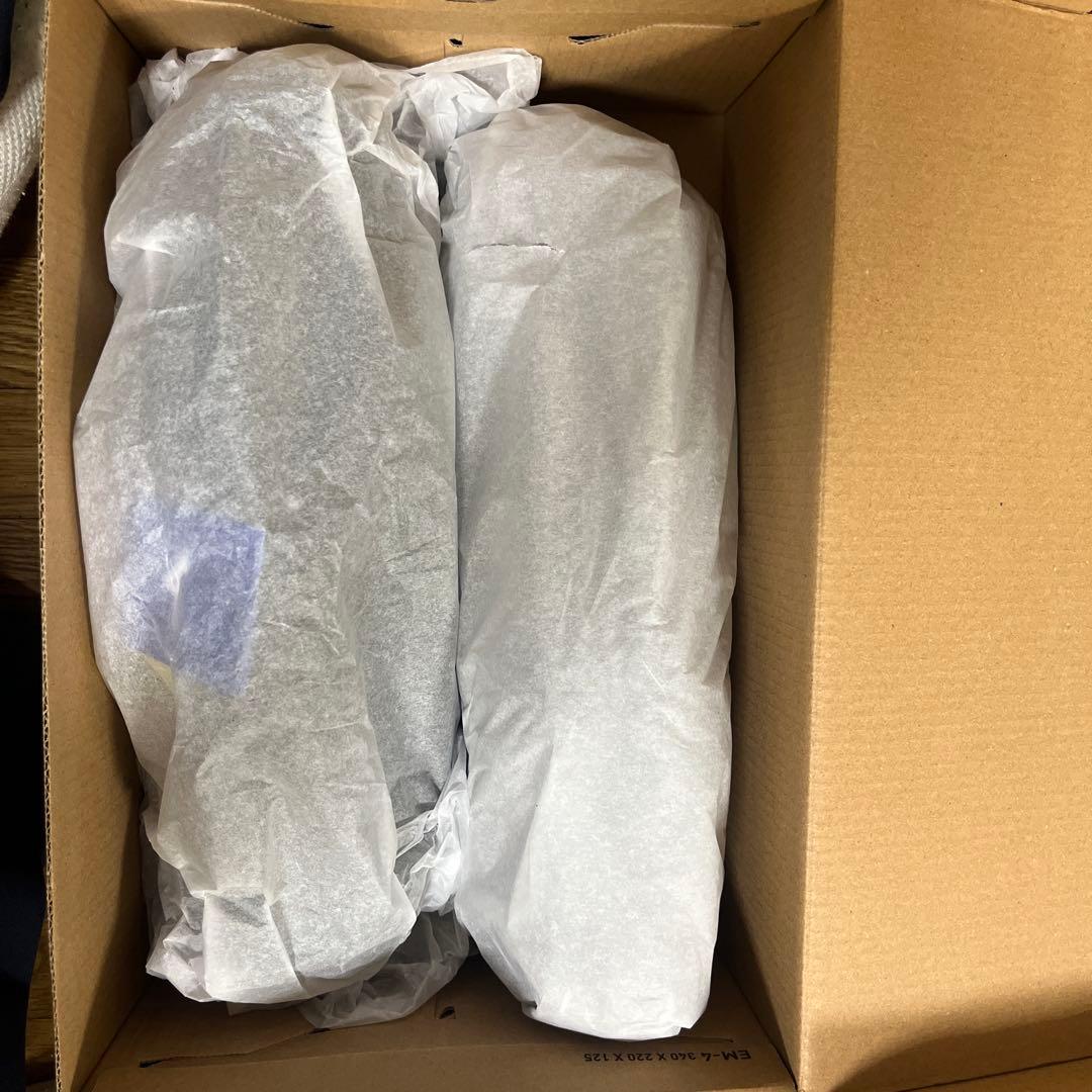 [新品]ミズノ　安全靴　オールマイティーOUI 11L 27.5cm EEE