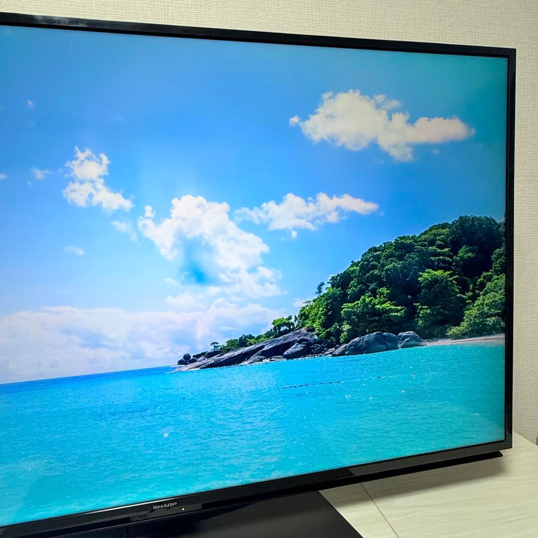 美品 SHARP AQUOS 50V型4K 2019年製4T-C50BL1