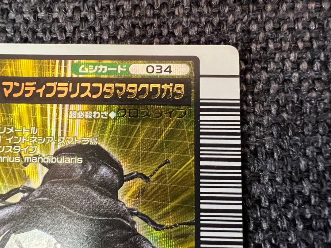 美品 2005年ファースト+ 金レア マンディブラリスフタマタクワガタ 034