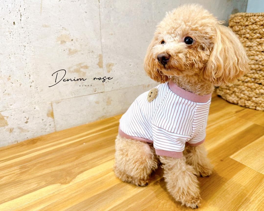 ★完売品★ DENIM ROSE ワッペンポップボーダーTシャツ