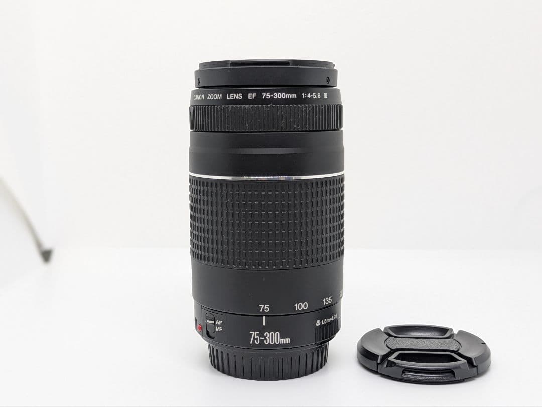 2月22日限定販売✨【超望遠レンズ】Canon EF 75-300mm Ⅲ