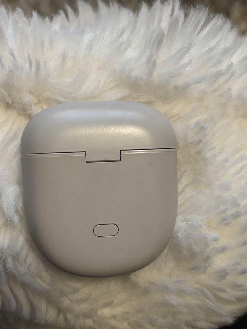 BOSE QuietComfort Earbudsの充電ケース