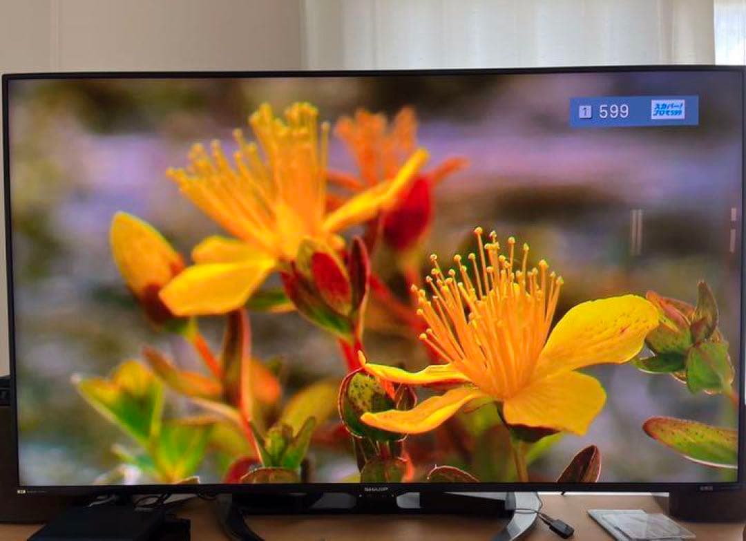 panasonic スカパープレミアムサービスチューナー TZ-HR400P