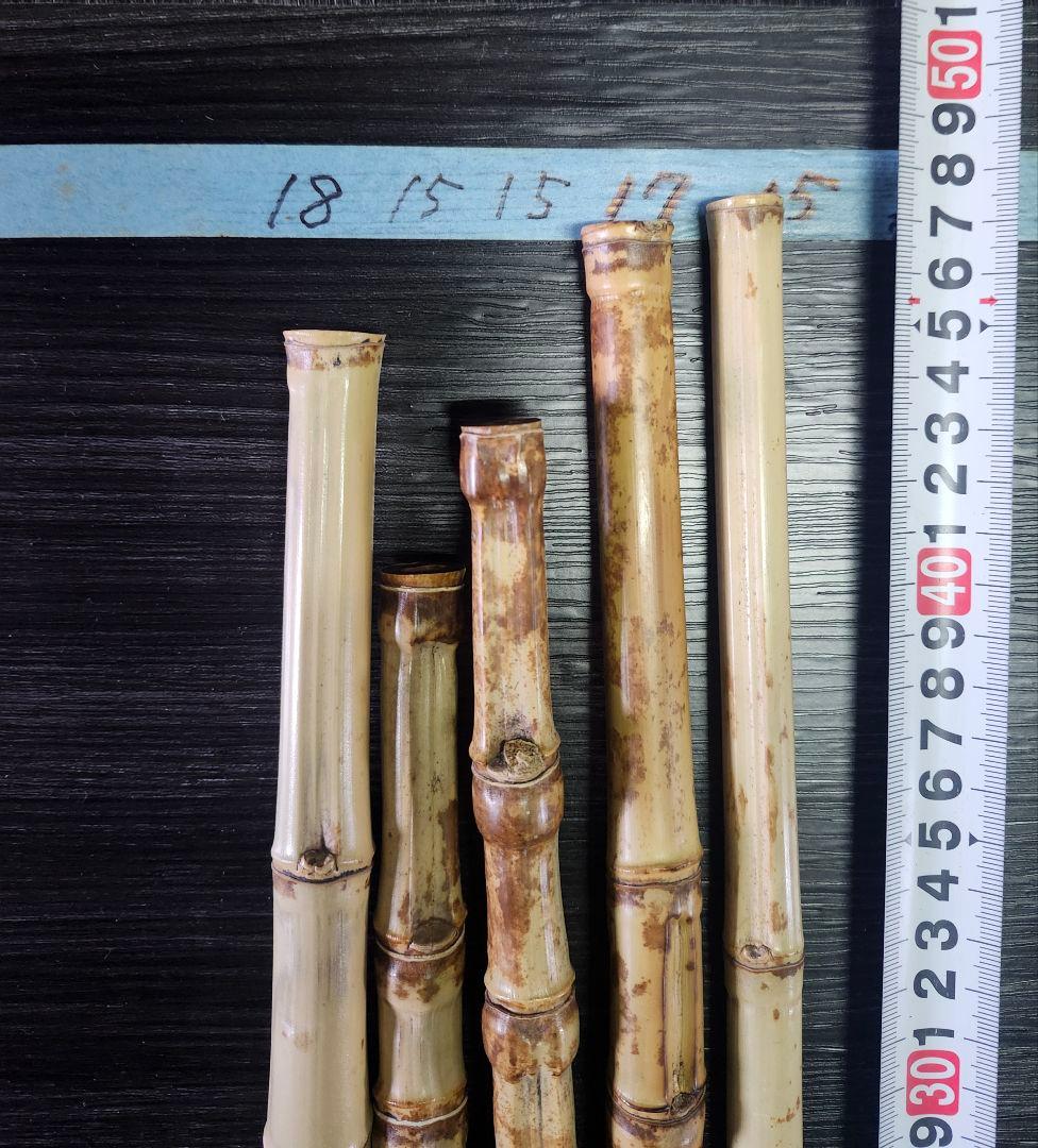 布袋竹　47cm (細)　竹素材 5本セット　①