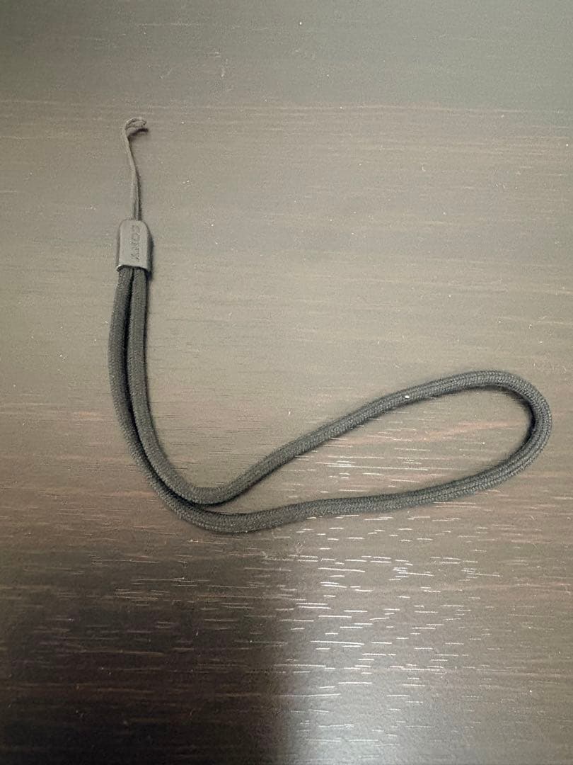 SONY コンパクトデジタルカメラ レッド DSCーWX500 専用ケース付き