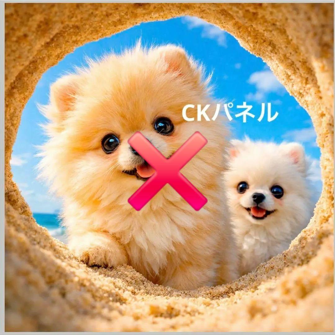 激レアパグ、マルチーズ、ポメラニアン、トイプー、チワワ、柴犬パネル生地