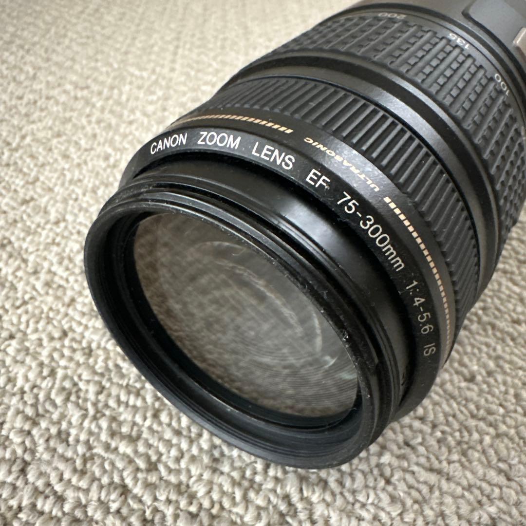 Canon EF 75-300mm f/4-5.6 IS レンズ