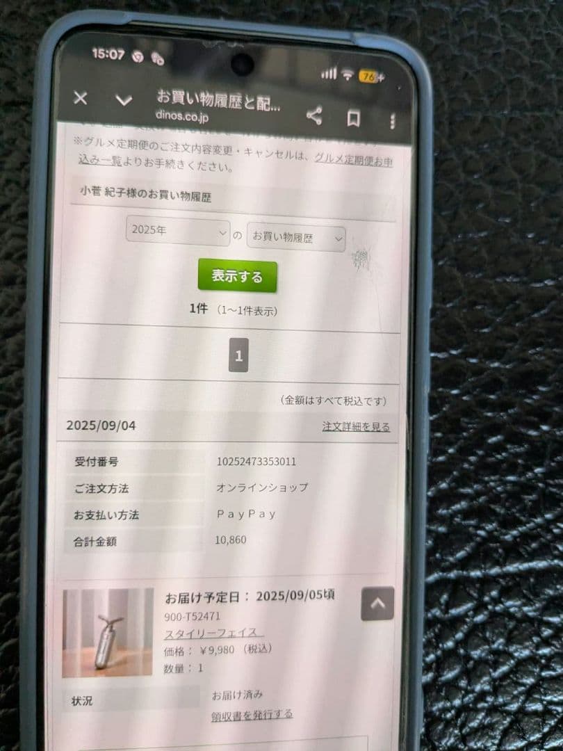 Renaissance StylFace SLF-100 美顔器