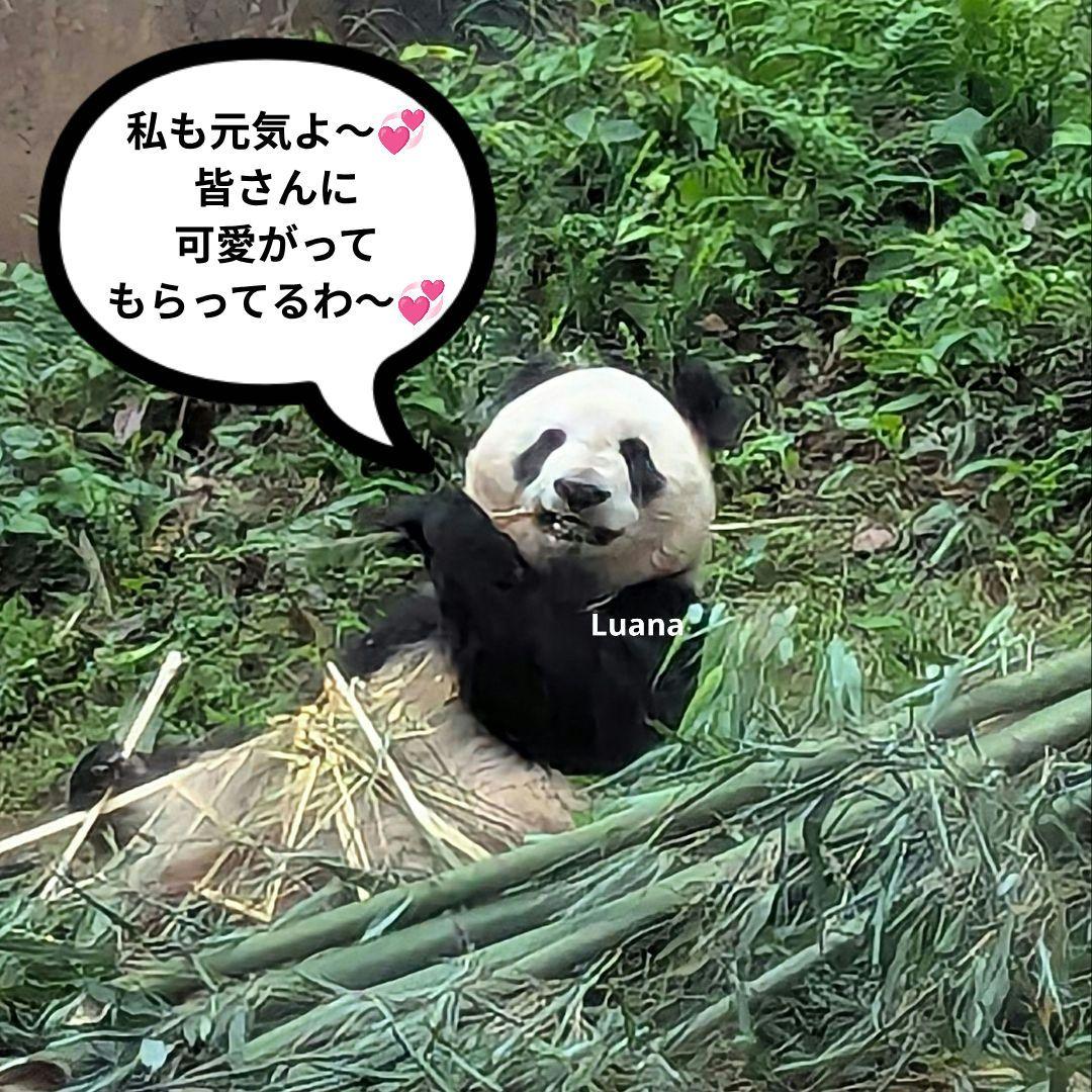 営業再開いたしました(*˘︶˘*).。.:*♡