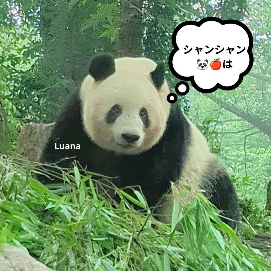 営業再開いたしました(*˘︶˘*).。.:*♡