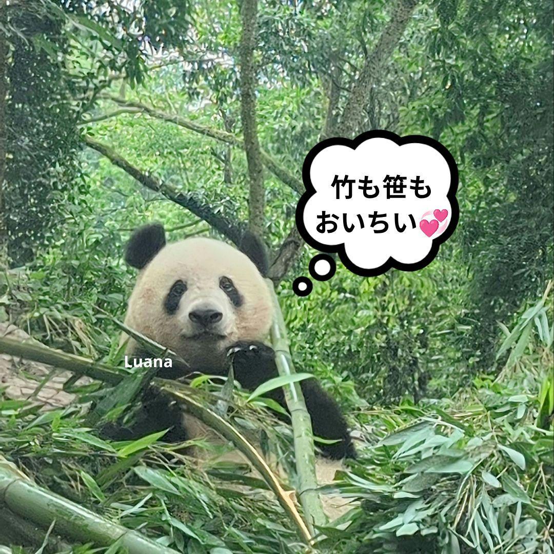 営業再開いたしました(*˘︶˘*).。.:*♡