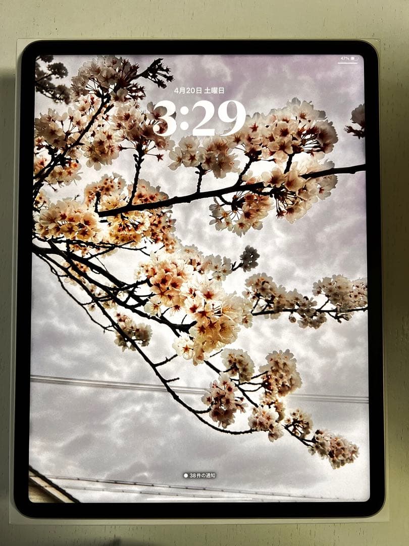 iPad Pro 12.9インチ 1Tb (第5世代) wifi +Pencil