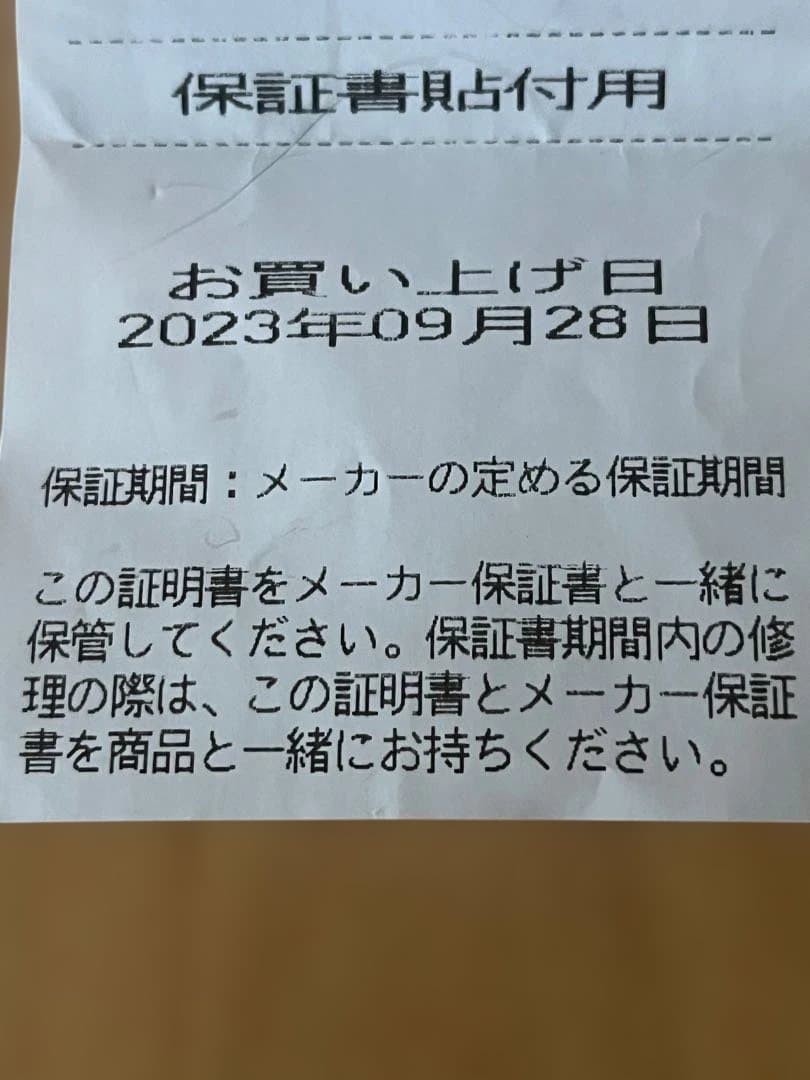 SHOKZ OPENRUN 骨伝導イヤホン ブルー
