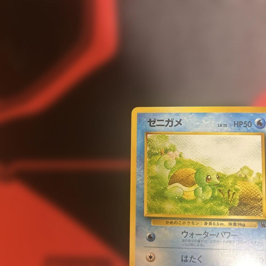 ゼニガメ イントロパック