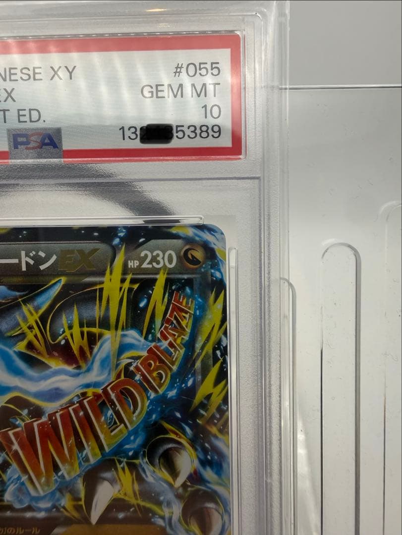 MリザードンEX 2014 GEM MT 10