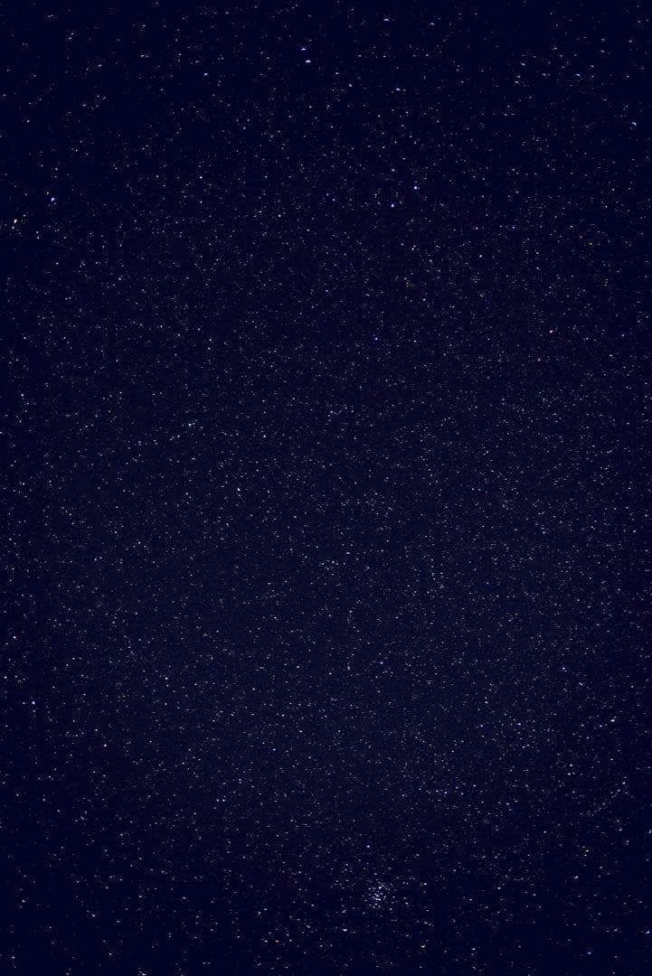 Nikon D800 シャッター回数29185回