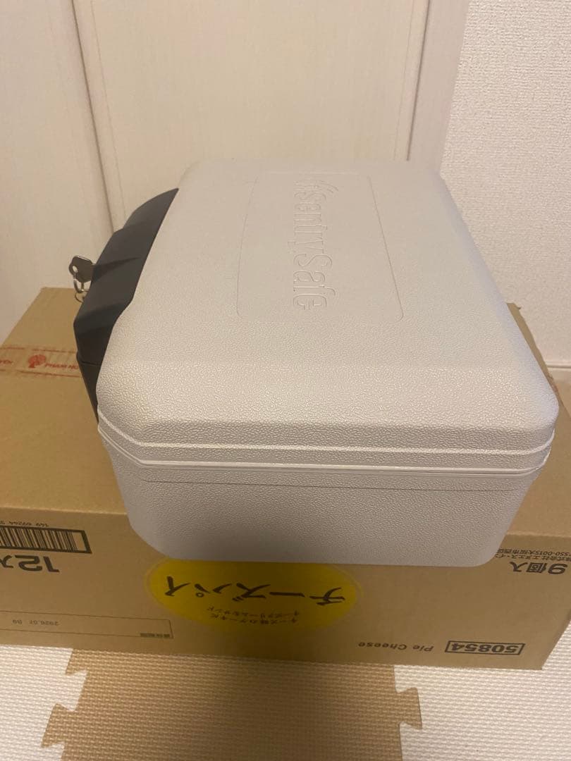 SentrySafe キャッシュボックス ホワイト　耐火金庫ポータブル6.2キロ