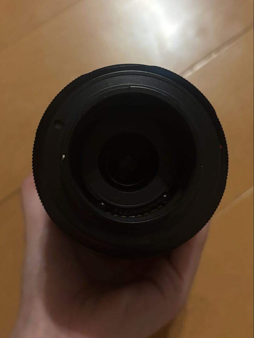 SONY 望遠ズームレンズ DT 55-300mm F4.5-5.6