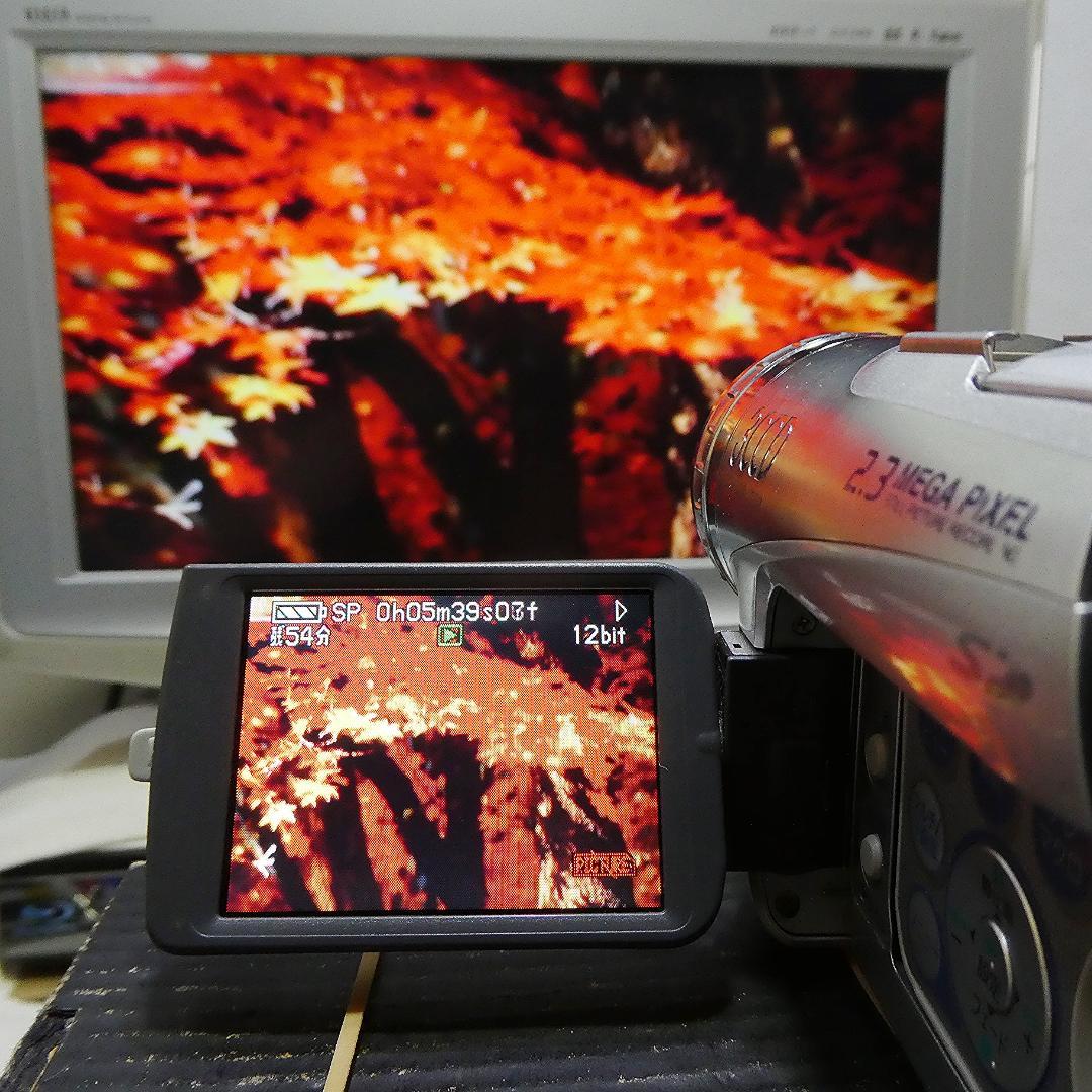 パナソニック NV-GS200【動作良好】 MiniDVビデオ　ダビングに最適