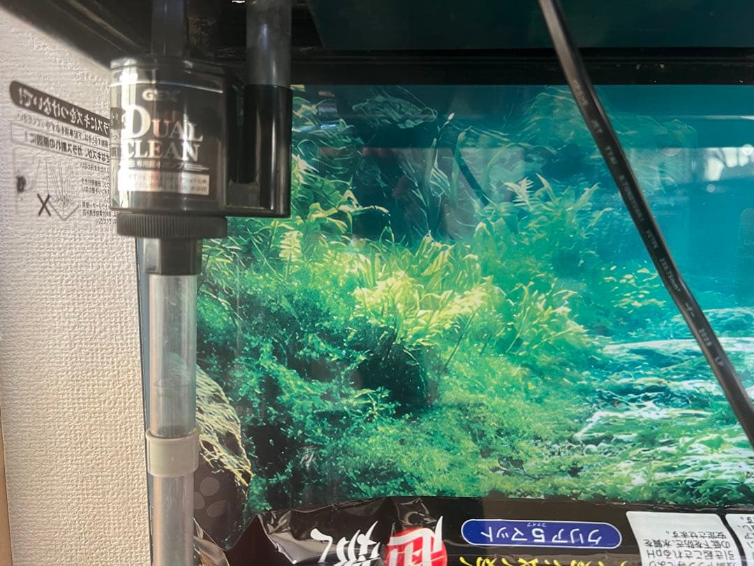 人気の曲げガラス水槽60cmセット