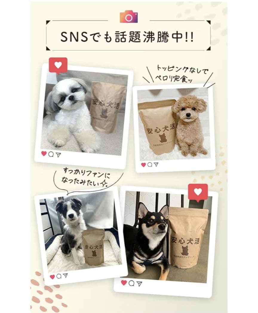 安心犬活 国産無添加ドッグフード800g×2個