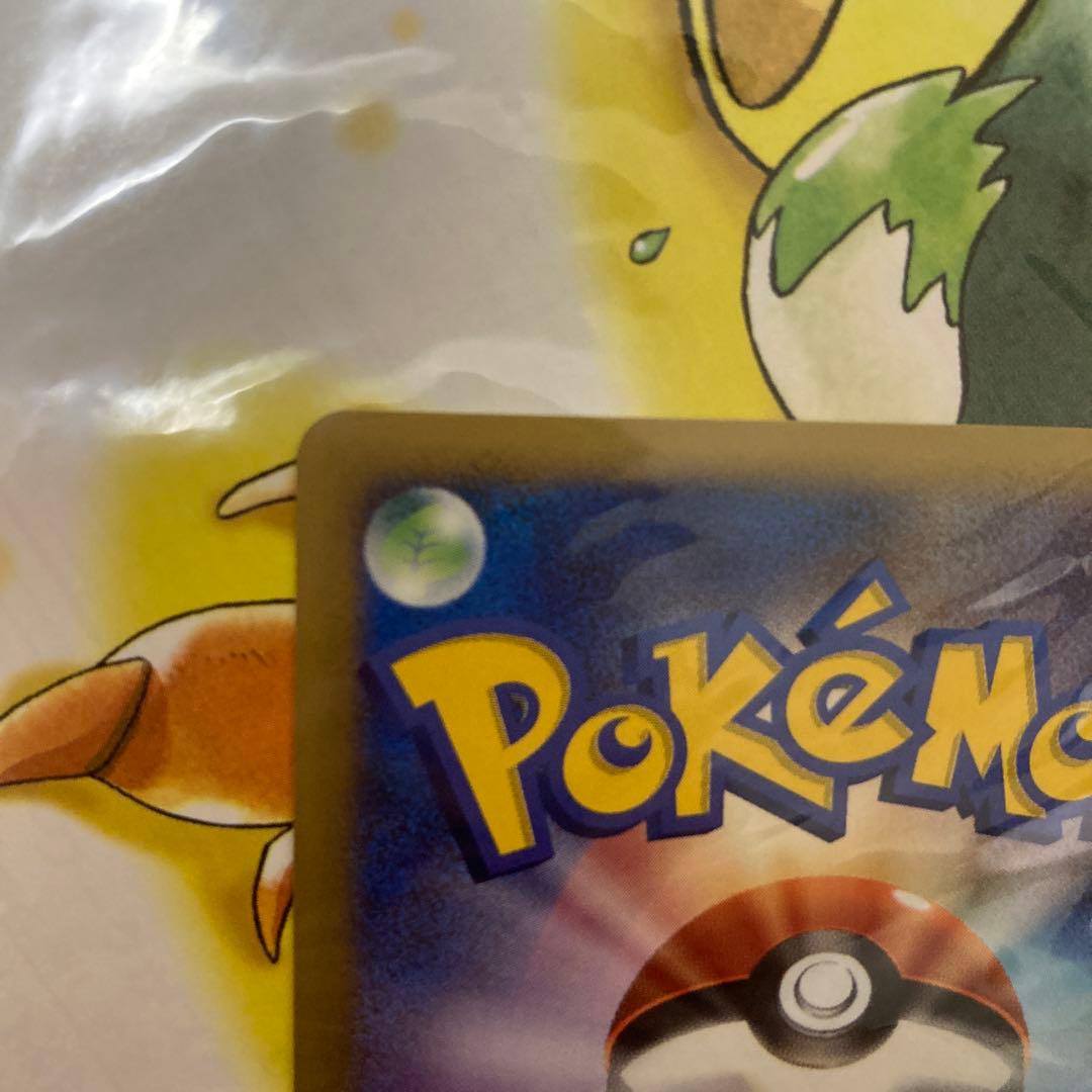 ポケモンカード インフォメーション その4 未開封