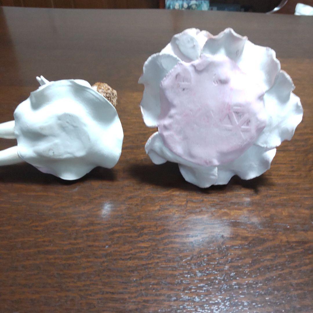 仲良しさん
