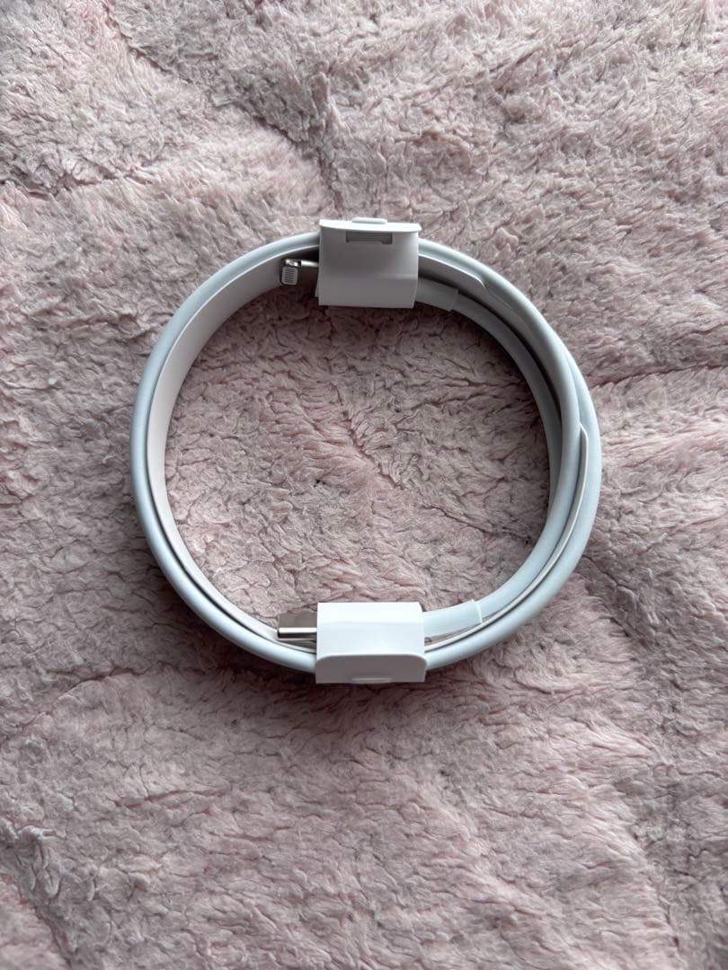 AirPods Pro 第1世代 初代