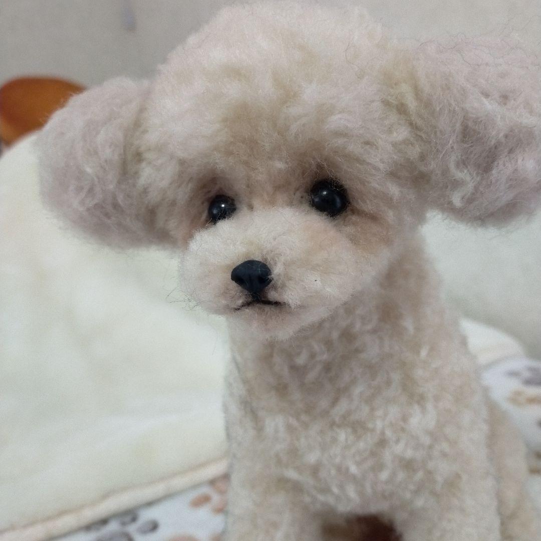 送料込み♡トイプードルアプリコットちゃん♡おすわりポーズ。