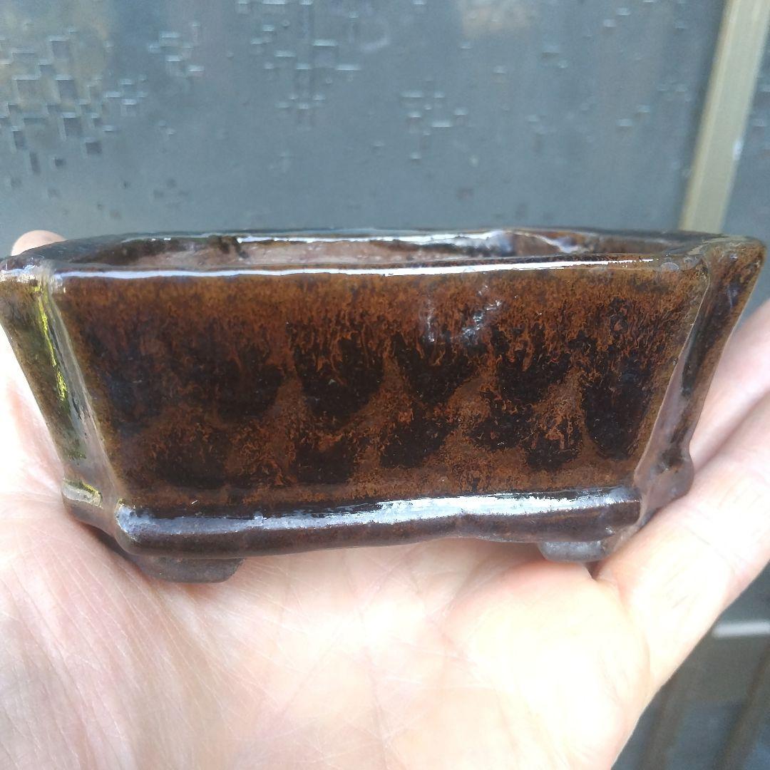ミニ鉢、盆栽鉢、鉢、植木鉢、山野草鉢、蘭鉢、盆栽