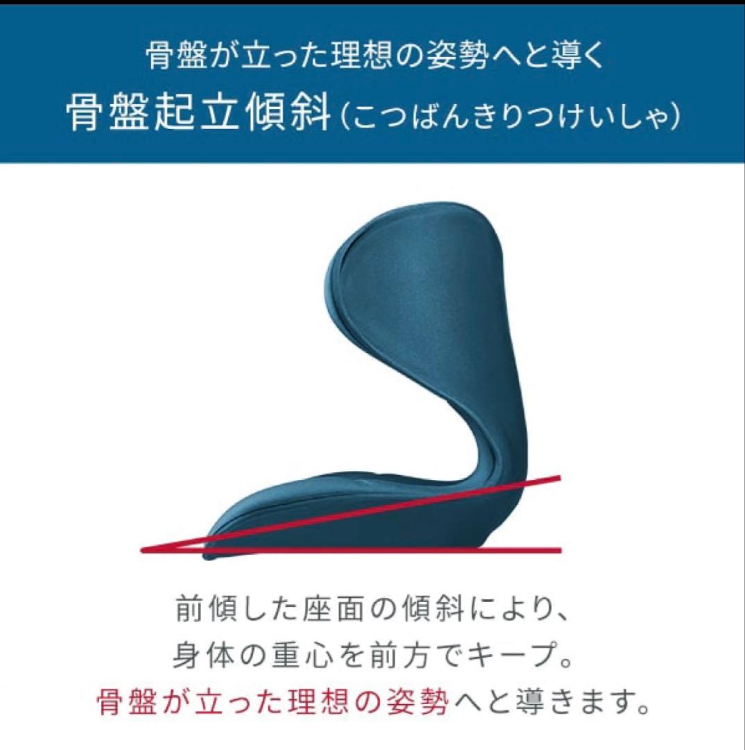 【川崎市受渡し限定】MTG Style SMART ブラック