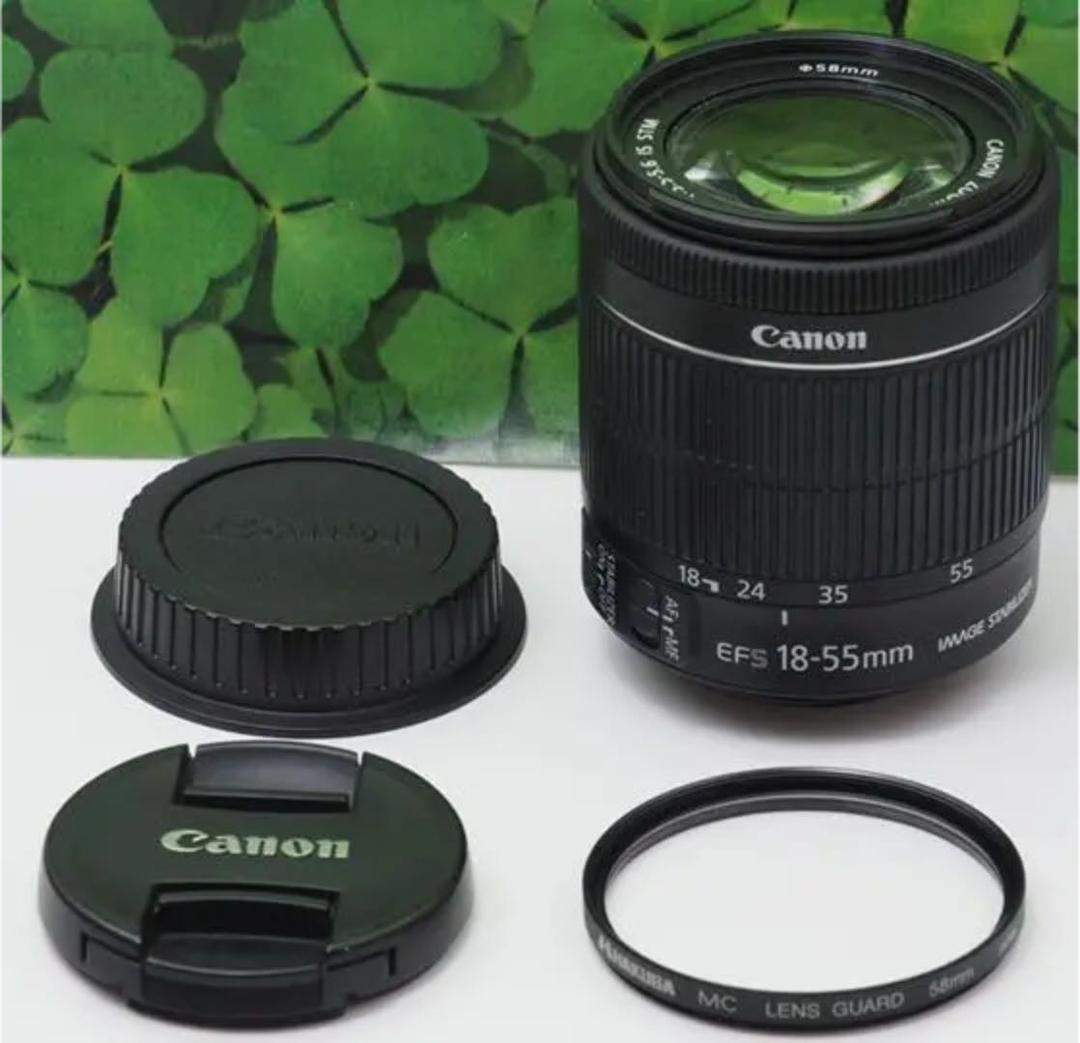 【美品】キヤノンEF-S18-55mm STM標準ズーム⭐️音が静かで動画で活躍