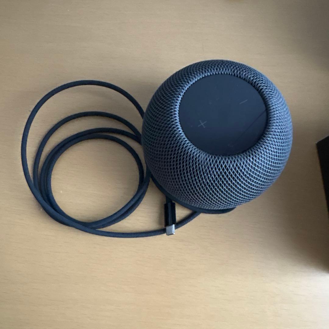 スピーカー・ウーファー Apple Pod mini Black