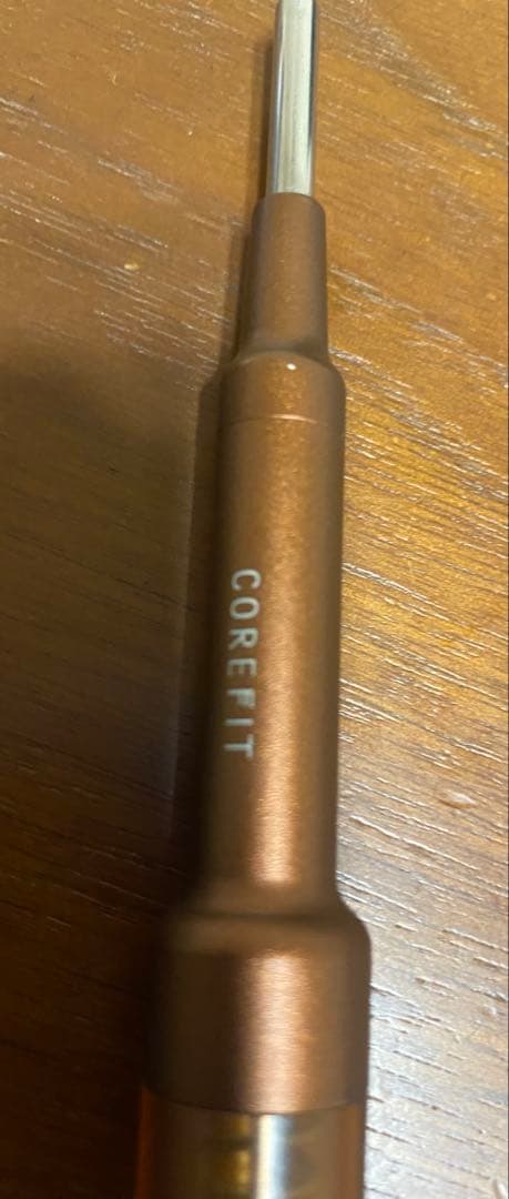 CORINTH 美顔器 メタル ブロンズ