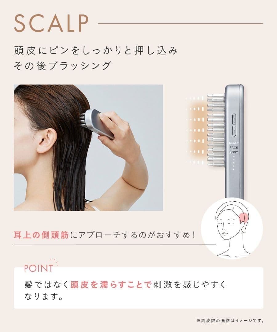 ★新品未使用★SALONIA《サロニアEMSリフトブラシ》デンキブラシ