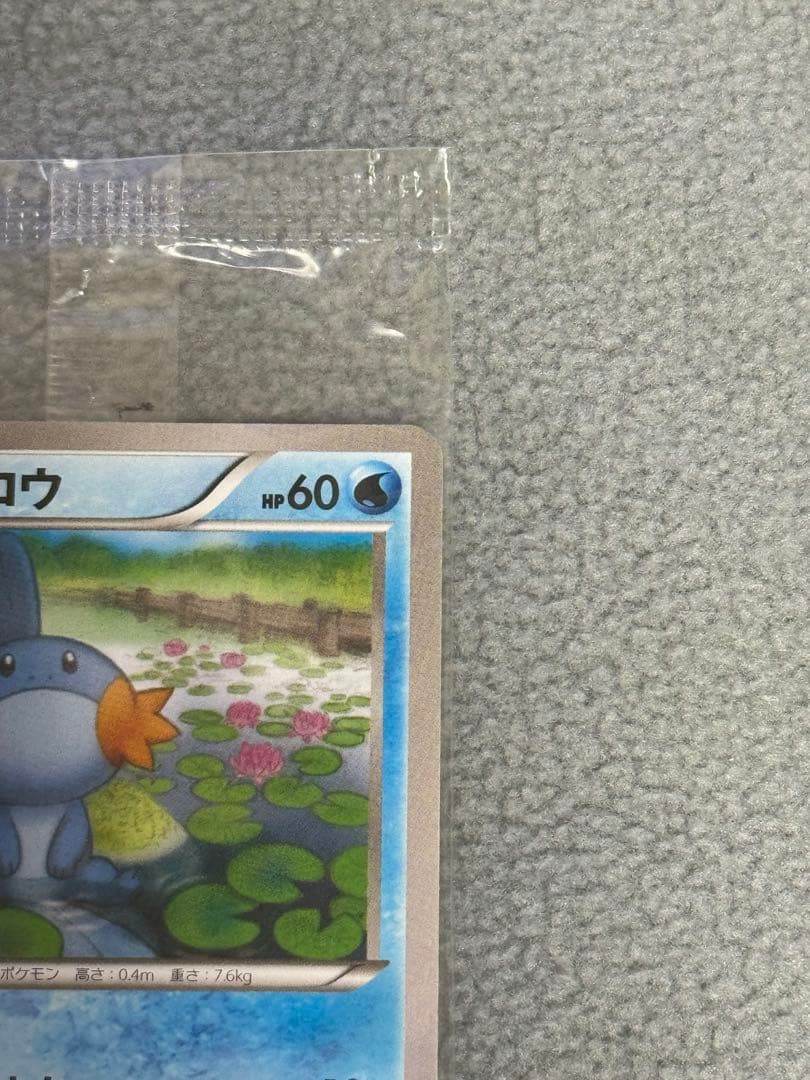 R*N様 【未開封】ポケモンカード　ミズゴロウ　プロモ 109/XY-P