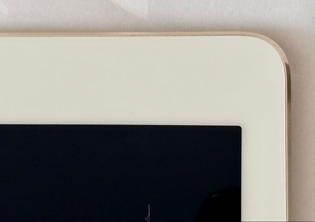 iPad Pro 9.7インチ 第一世代 128GB☆バッテリーに難有　ゴールド