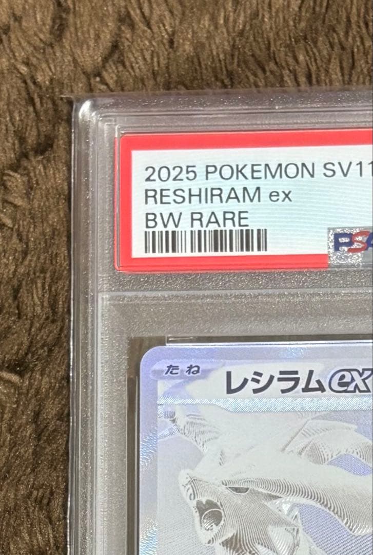 2025年 ポケモンカード レシラムex ゼクロムexセット