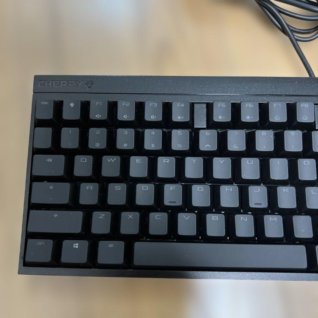 CHERRY メカニカルキーボード 英語配列 MX2.0S RGB リストレスト