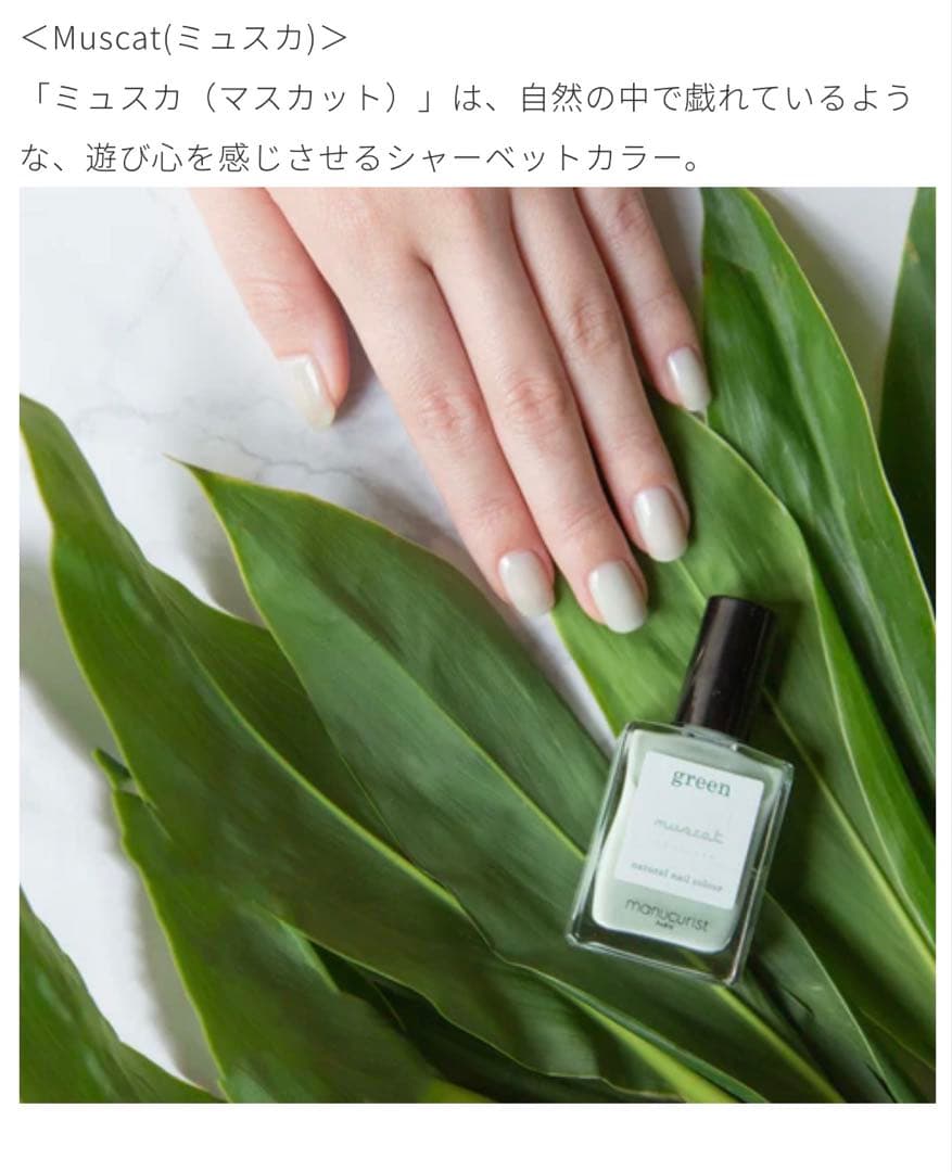 マニキュリスト ネイルセット