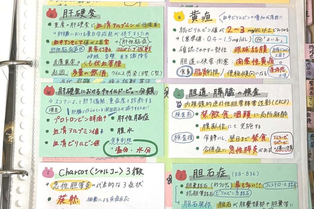 看護師国家試験 まとめノート 対策 カード 付箋ノート 国試 看護 合格
