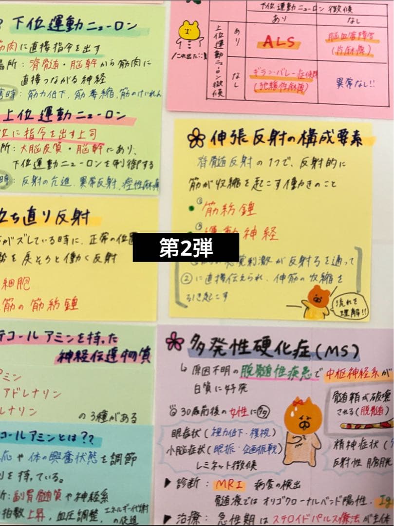 看護師国家試験 まとめノート 対策 カード 付箋ノート 国試 看護 合格