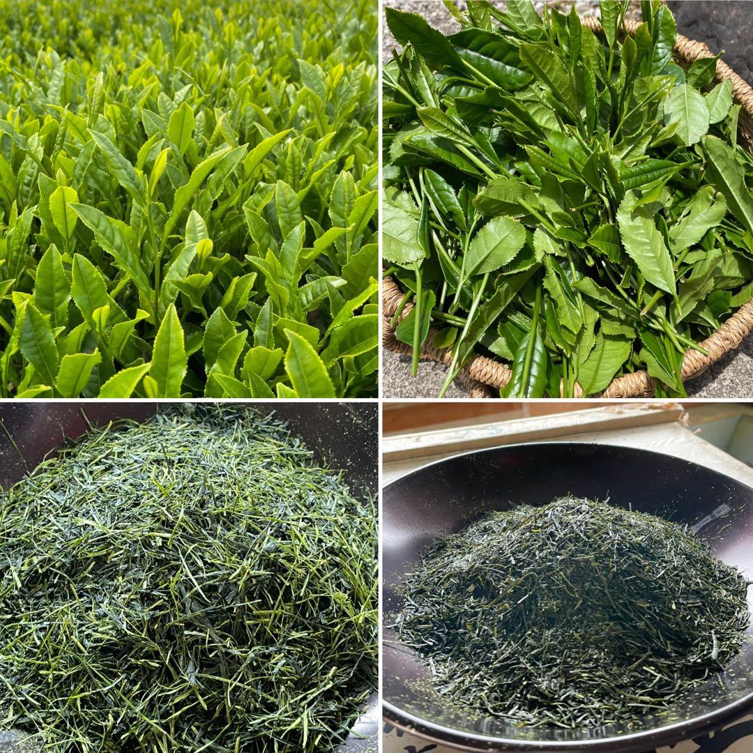 【新茶】狭山茶☆茶畑直販☆特上煎茶100gx6本(令7年産)深蒸し緑茶日本茶お茶