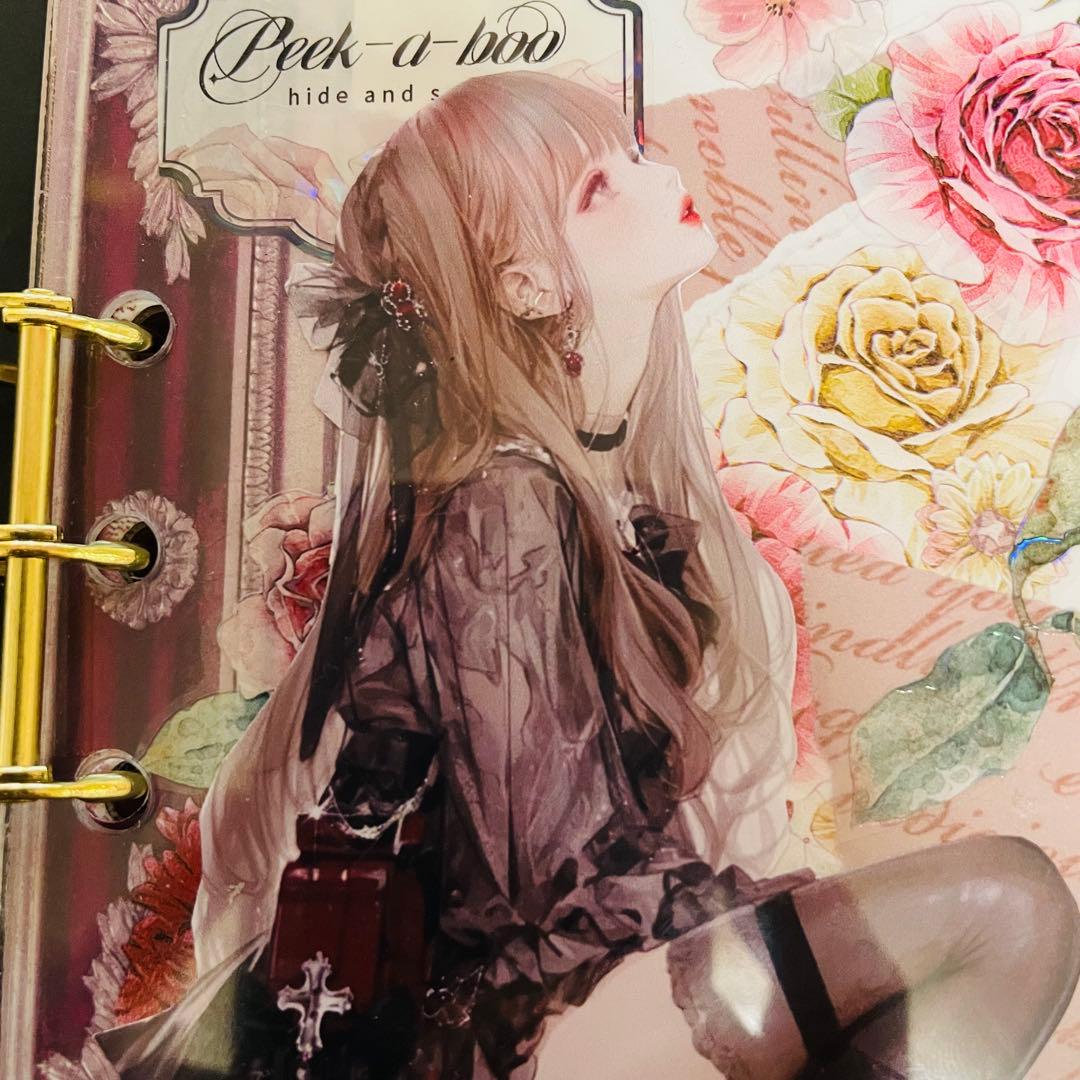 poyo ☆彡おすそ分けファイル　バインダーファイル　蛇腹ファイル　2点セット♡