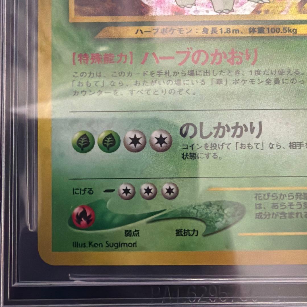 BGS9.5≒psa10ポケモンカード メガニウム 2000 プロモ　ホロ　旧裏