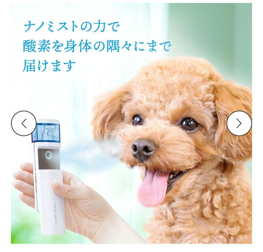 【新品未使用】TEO パワーミストO4 専用酸素水150mm×2付き