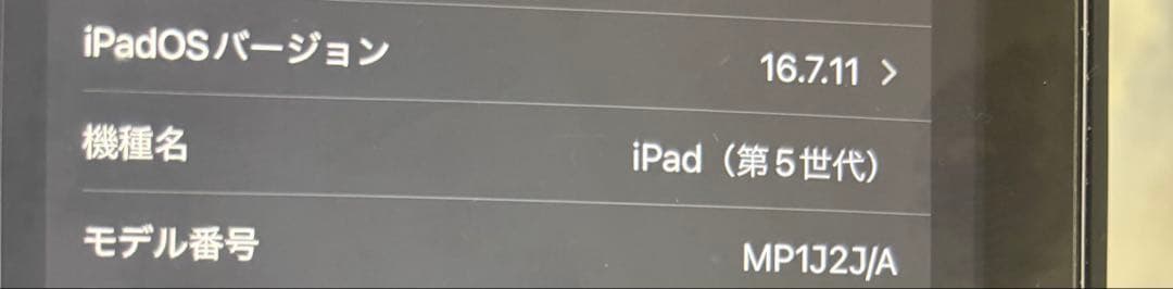 iPad 第5世代 32GB スペースグレイ 初期化済み ケース付き