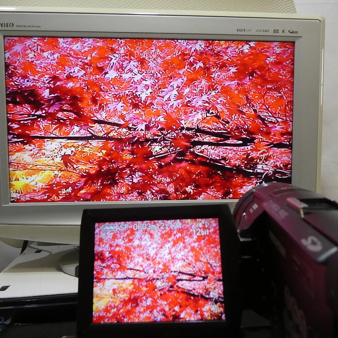 美品・動作良好 パナソニックNV-GS100 MiniDVビデオ　DVD化に最適